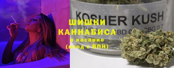 крисы Абдулино
