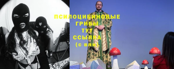 крисы Абдулино