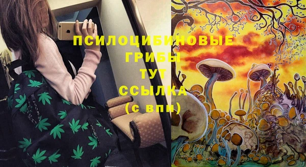 винт Абинск