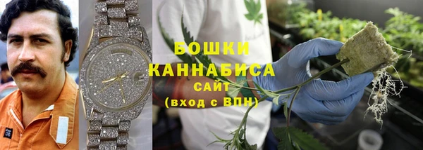 крисы Абдулино