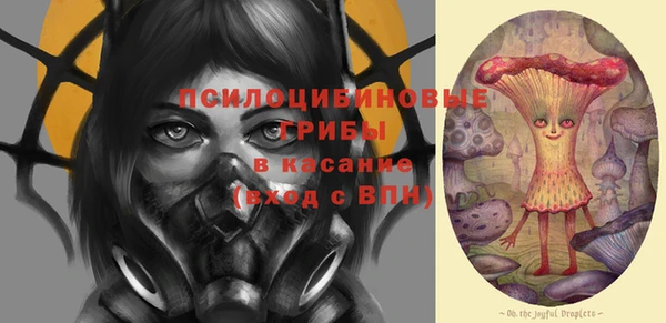 крисы Абдулино