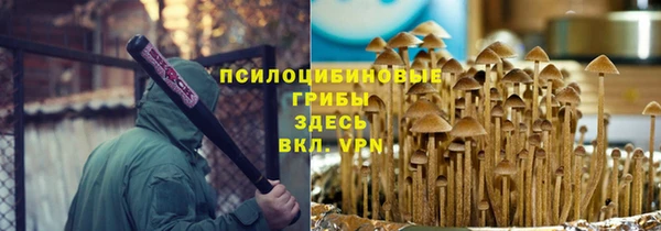 крисы Абдулино