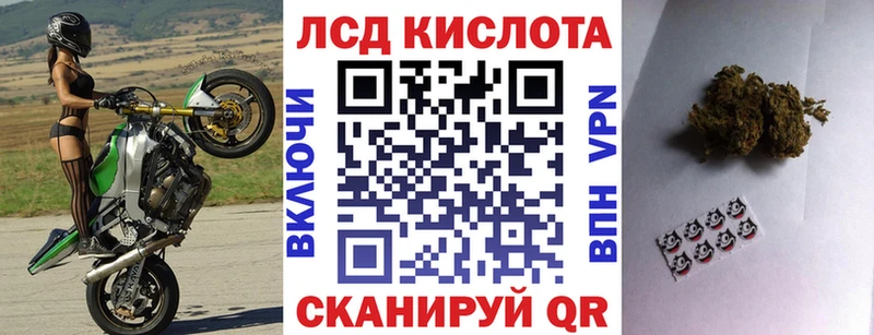 купить наркотики сайты  Оса  Наркотические марки 1,5мг 